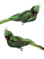 Mark Roberts 38-62030 TRPCL BIRD DECOR11X3.5''BX6