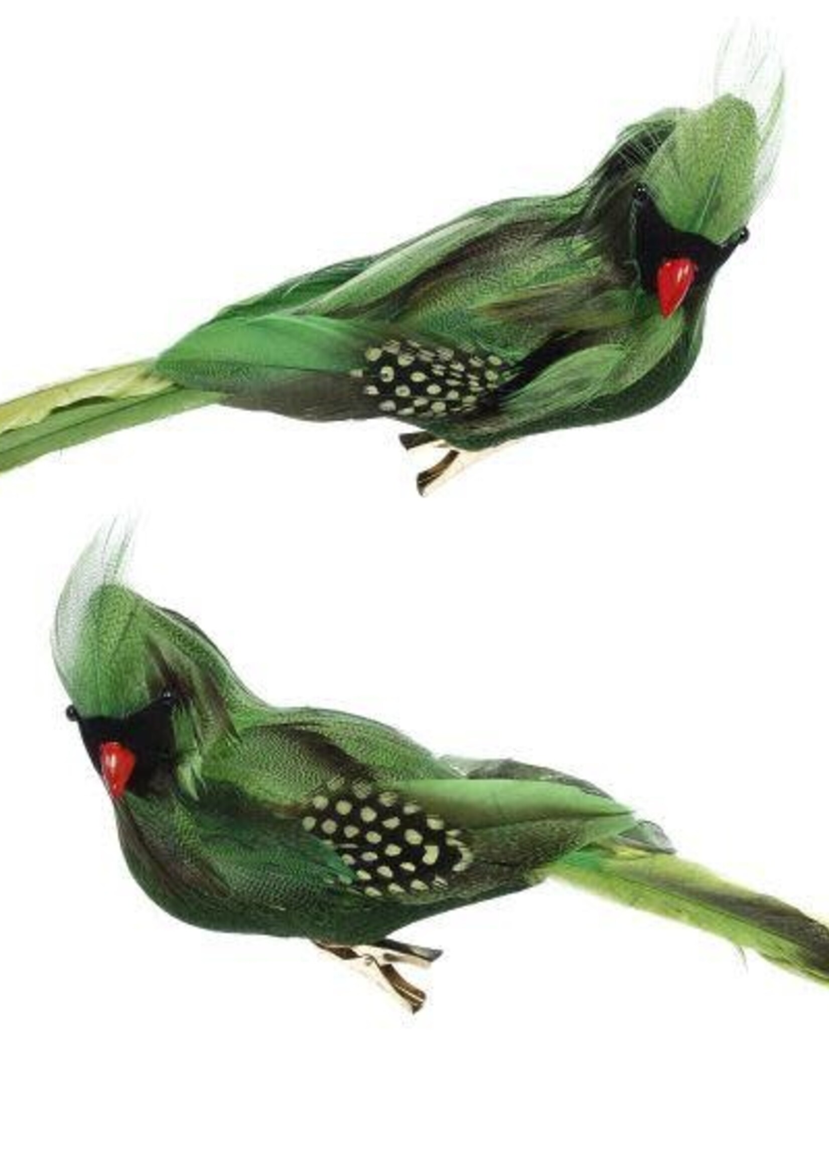 Mark Roberts TROPICAL BIRD DECOR 11 X 3.5'' BOX OF 6