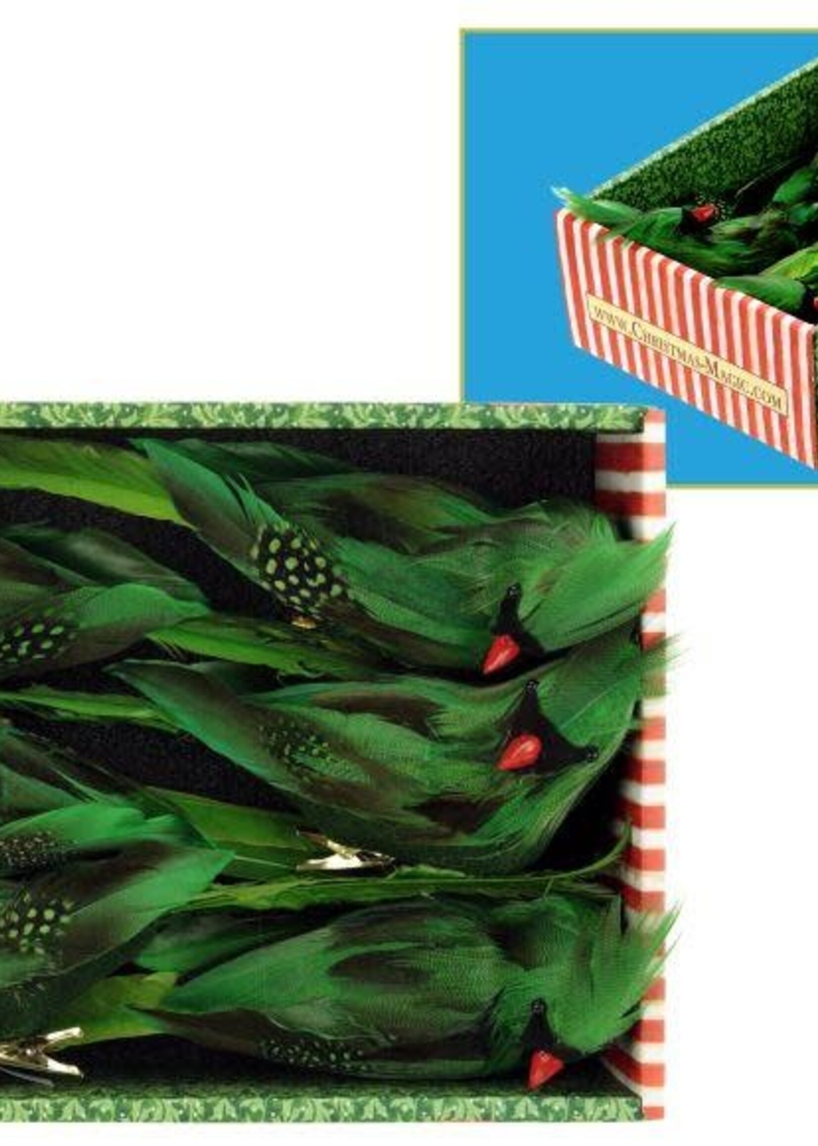 Mark Roberts TROPICAL BIRD DECOR 11 X 3.5'' BOX OF 6