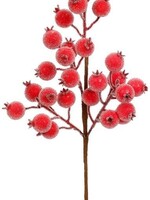 Mark Roberts 39-62456 RED BERRIES PICK 16''