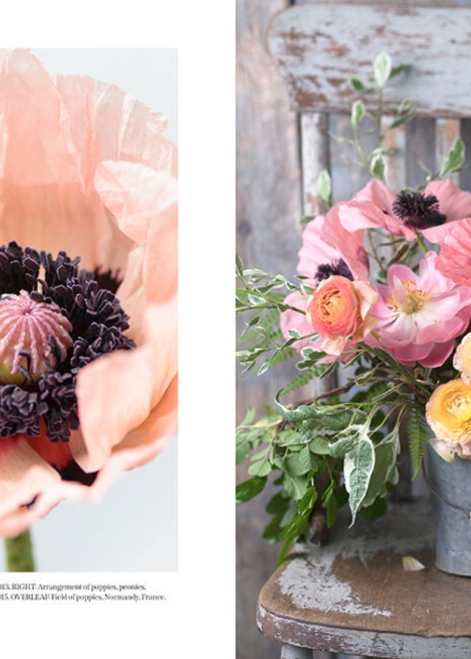 Gibbs Smith Beautiful Blooms Book Gerofianna Lane Gibbs Smith