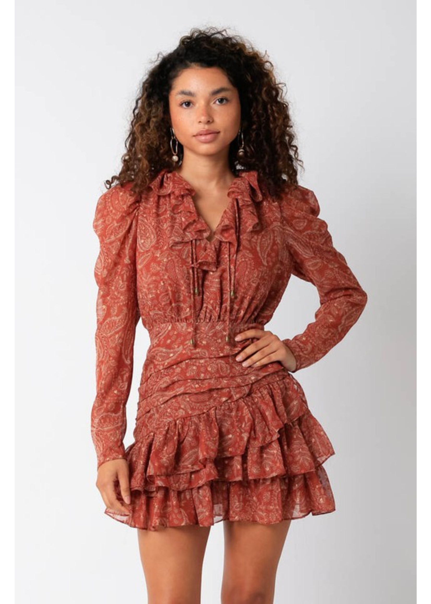 Rust and Taupe Ruffle Dress