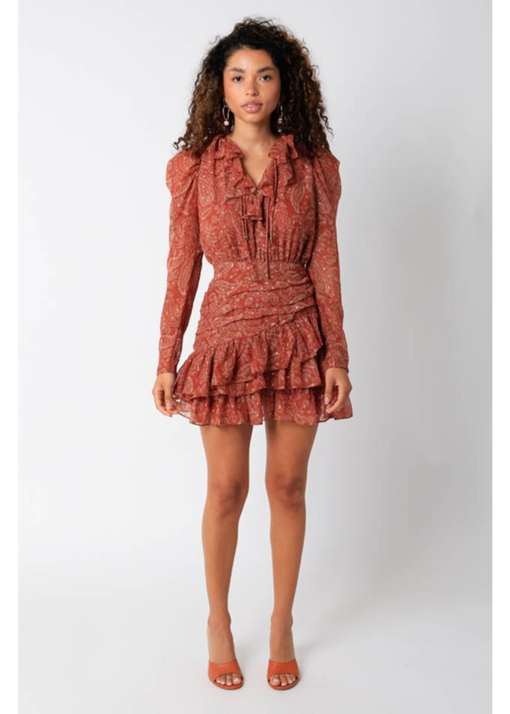 Rust and Taupe Ruffle Dress