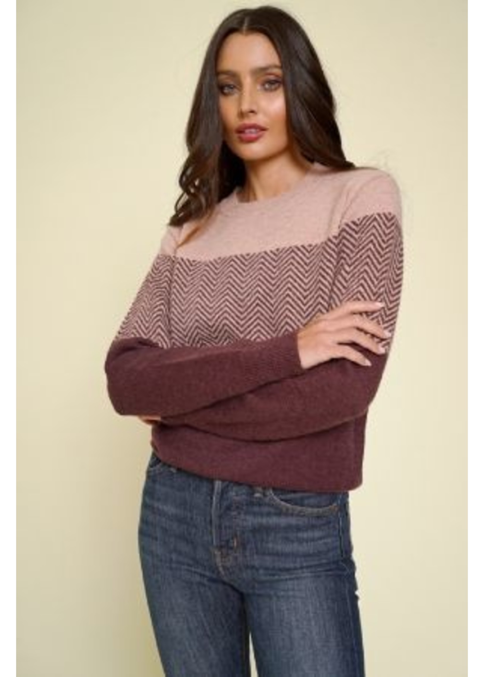 Plum chevron Sweater