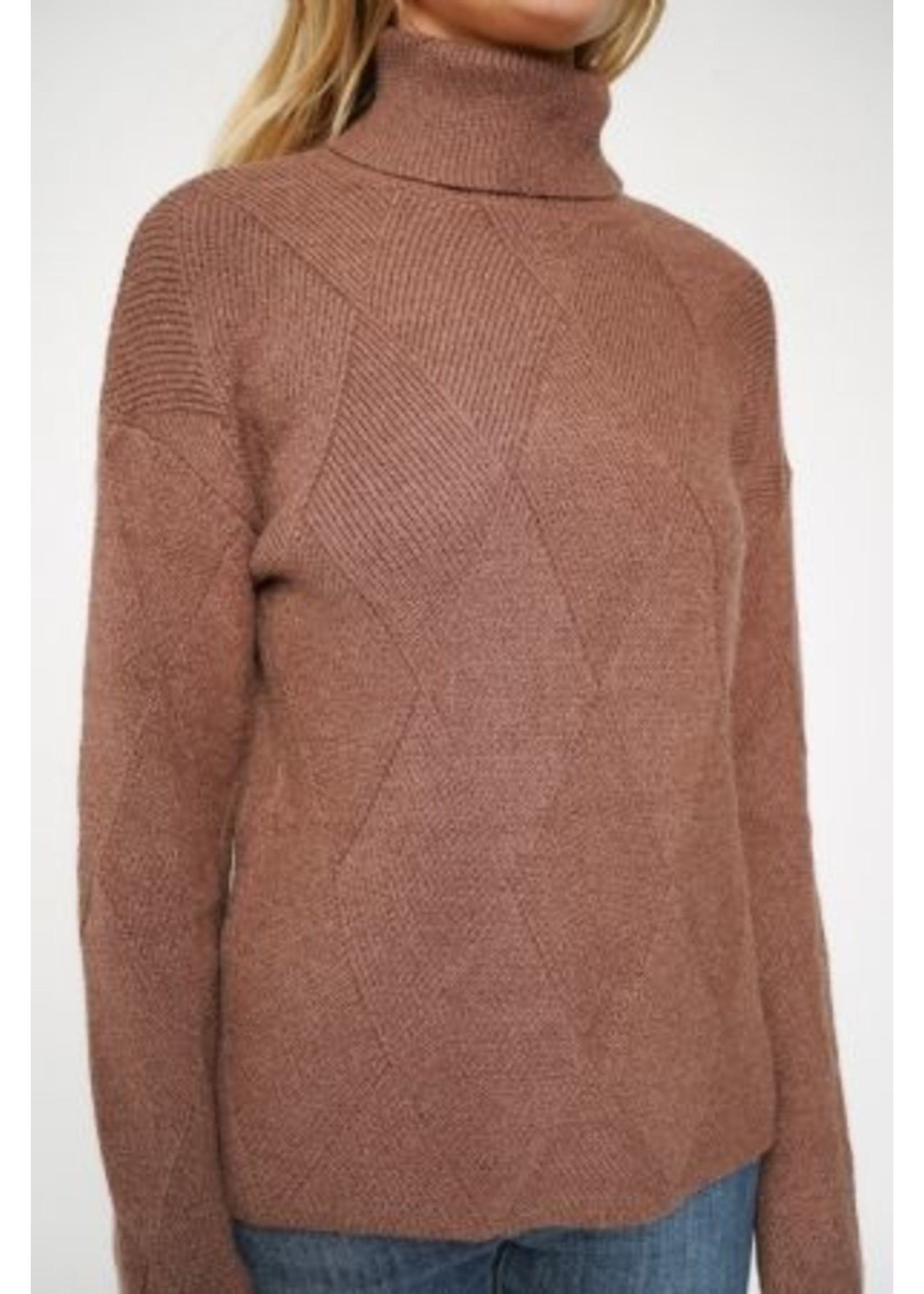 Argyle Turtleneck Sweater