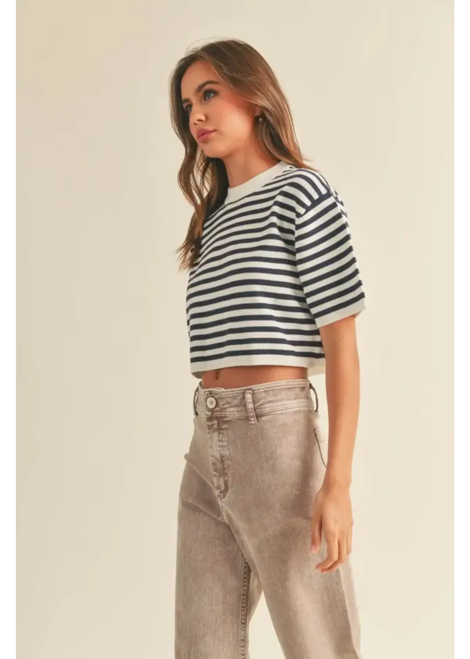 Short Sleeve Stripe Pattern Knitted Top