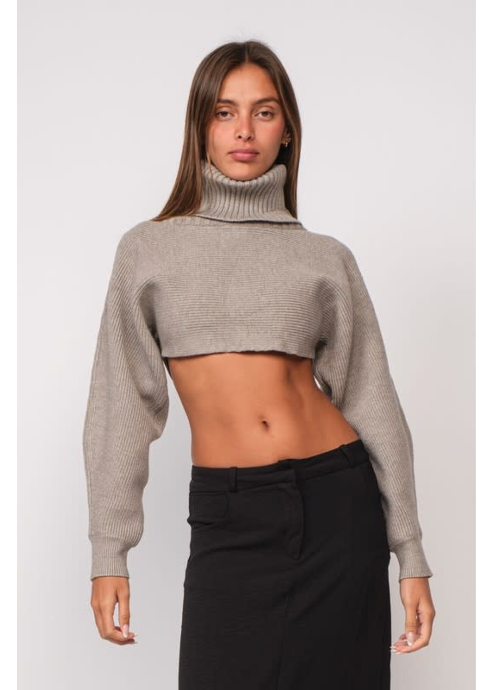 TURTLENECK LONG SLEEVE KNIT CROP TOP