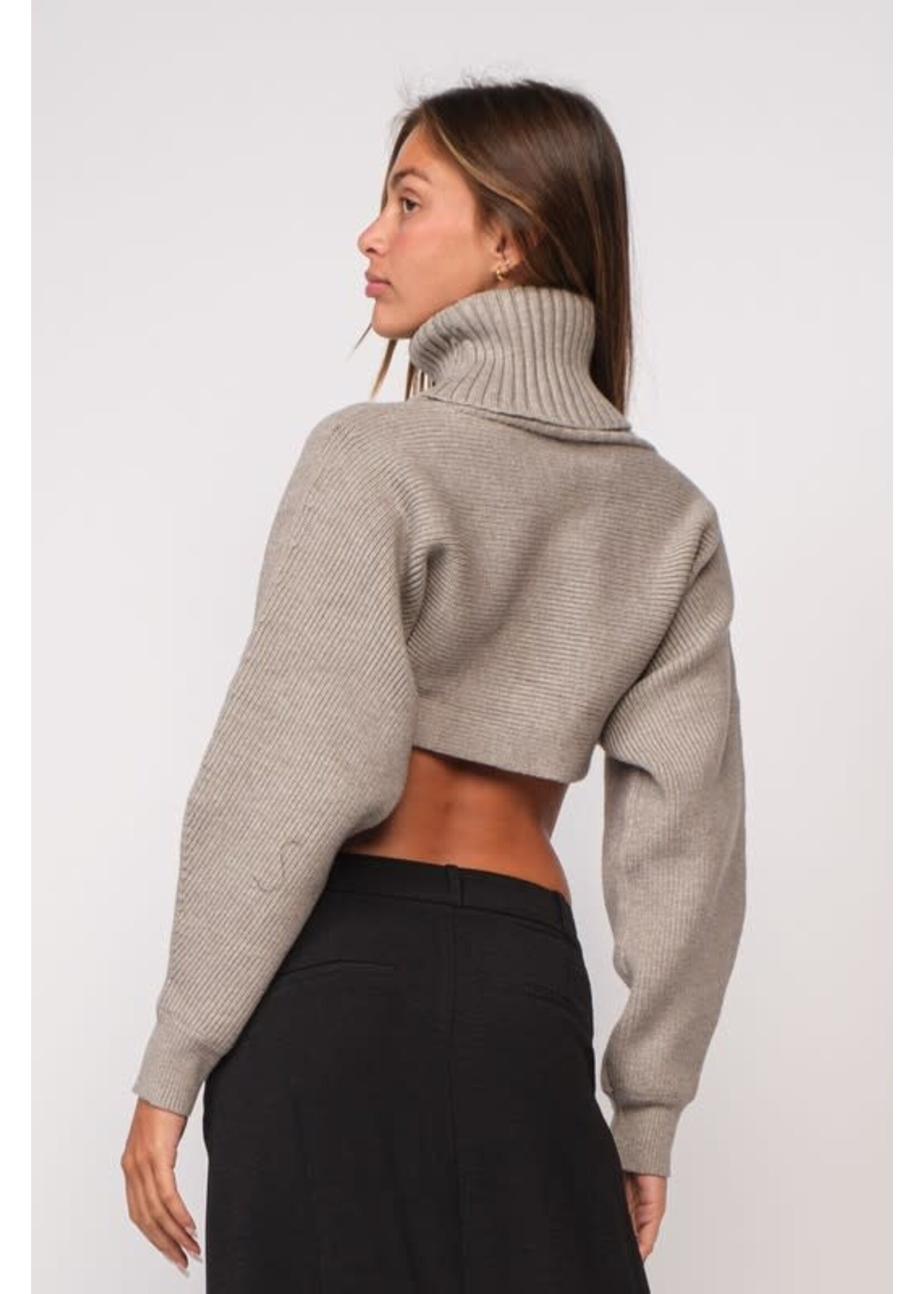 TURTLENECK LONG SLEEVE KNIT CROP TOP