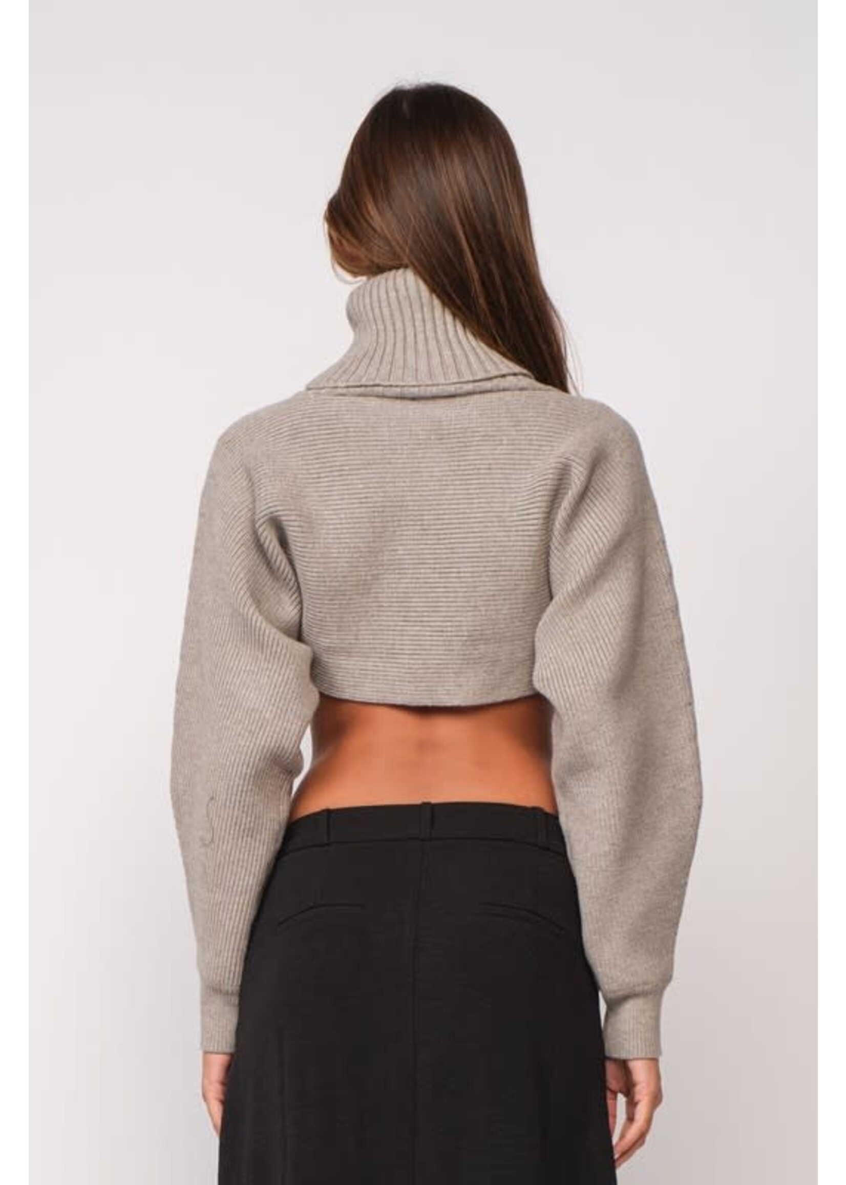 TURTLENECK LONG SLEEVE KNIT CROP TOP