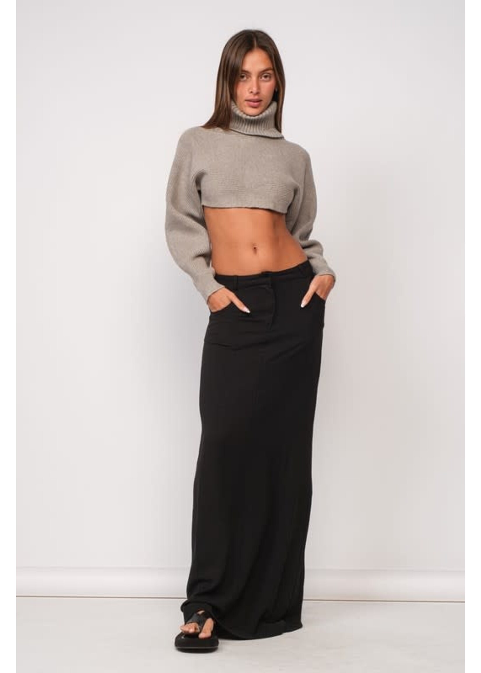 TURTLENECK LONG SLEEVE KNIT CROP TOP