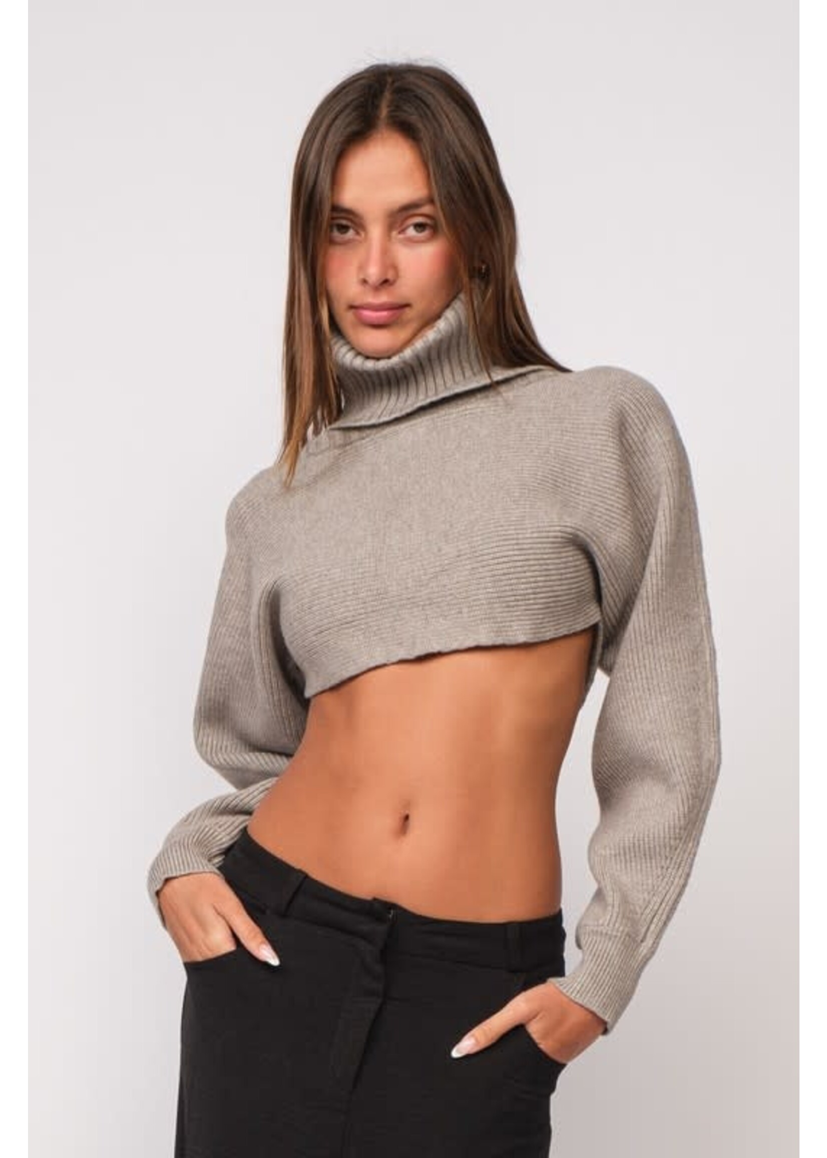 TURTLENECK LONG SLEEVE KNIT CROP TOP