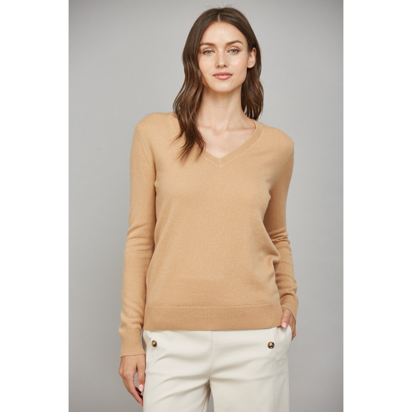 CAMEL V NECK SWEATER TOP