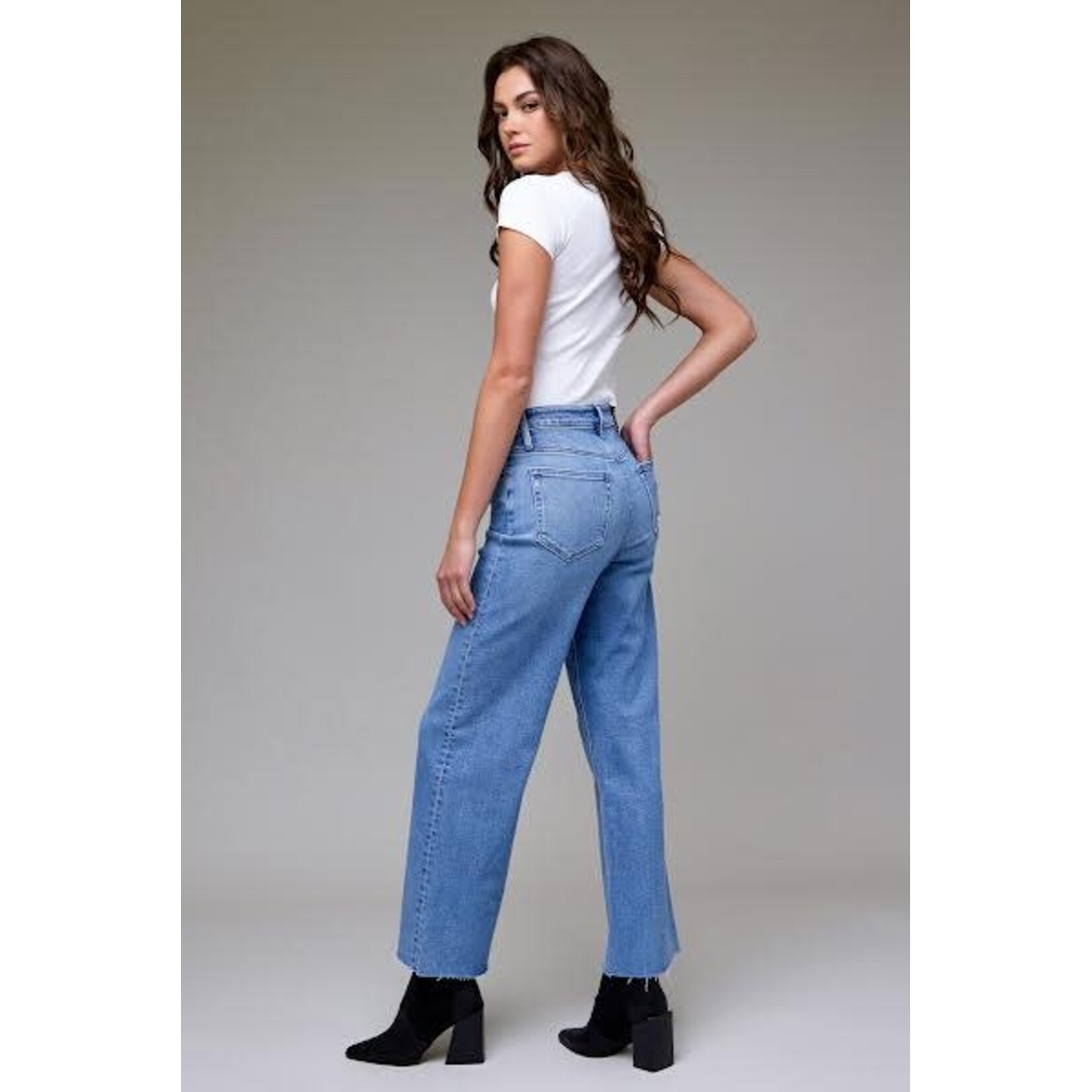 HIDDEN HIGH RISE LOGAN DAD BASIC JEAN