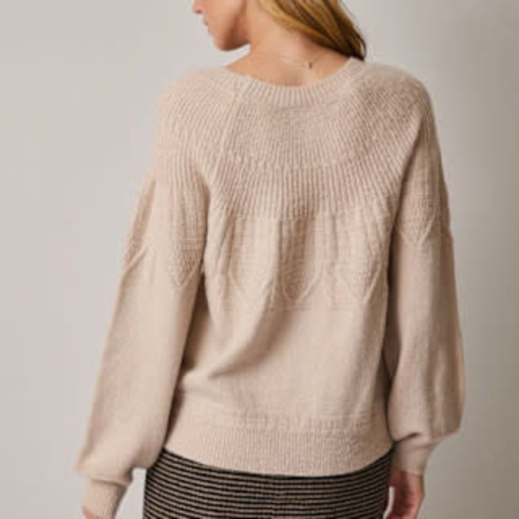 CREW NECK  TEXTURE DETAILE SWEATER