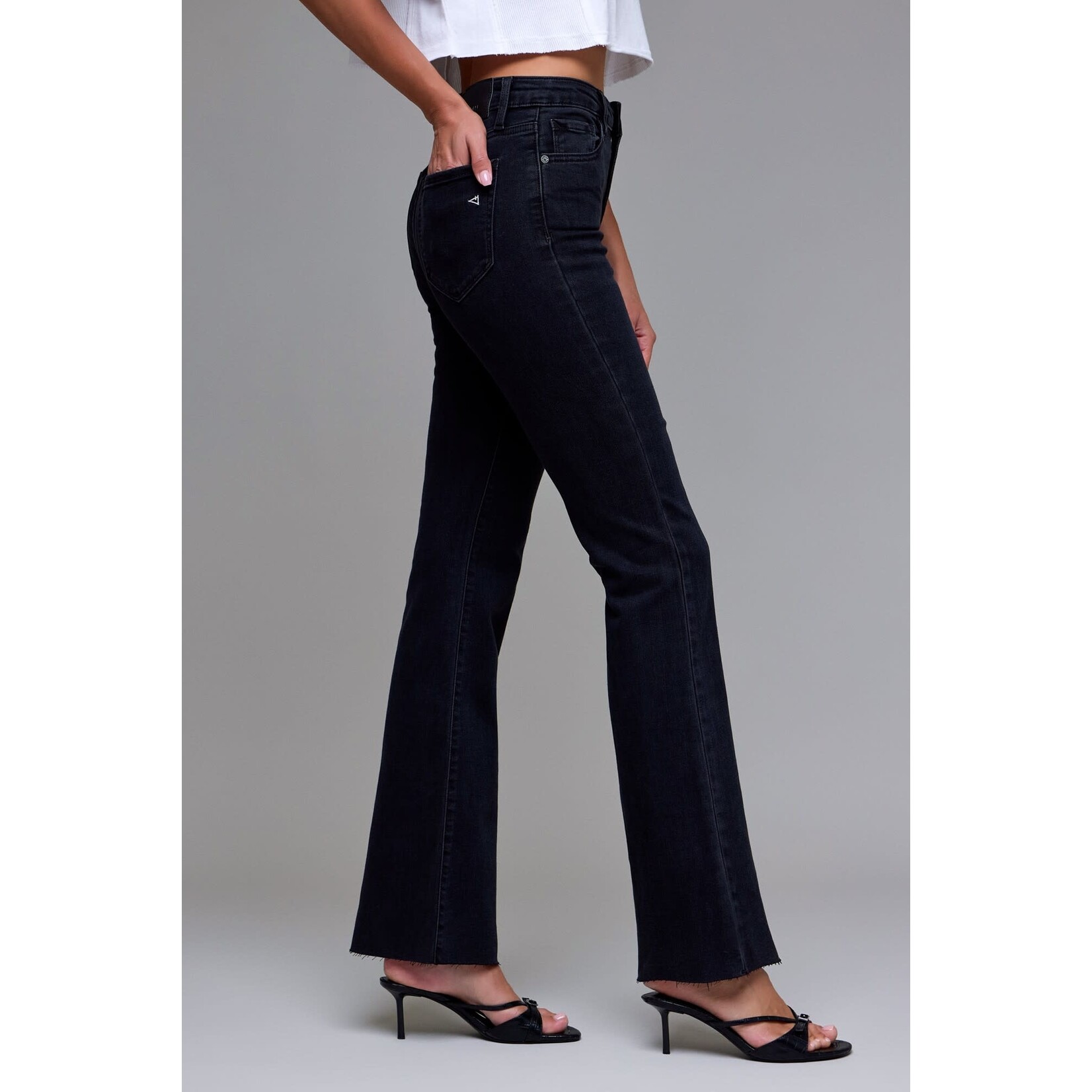 HIDDEN HIGH RISE FLARE JEANS