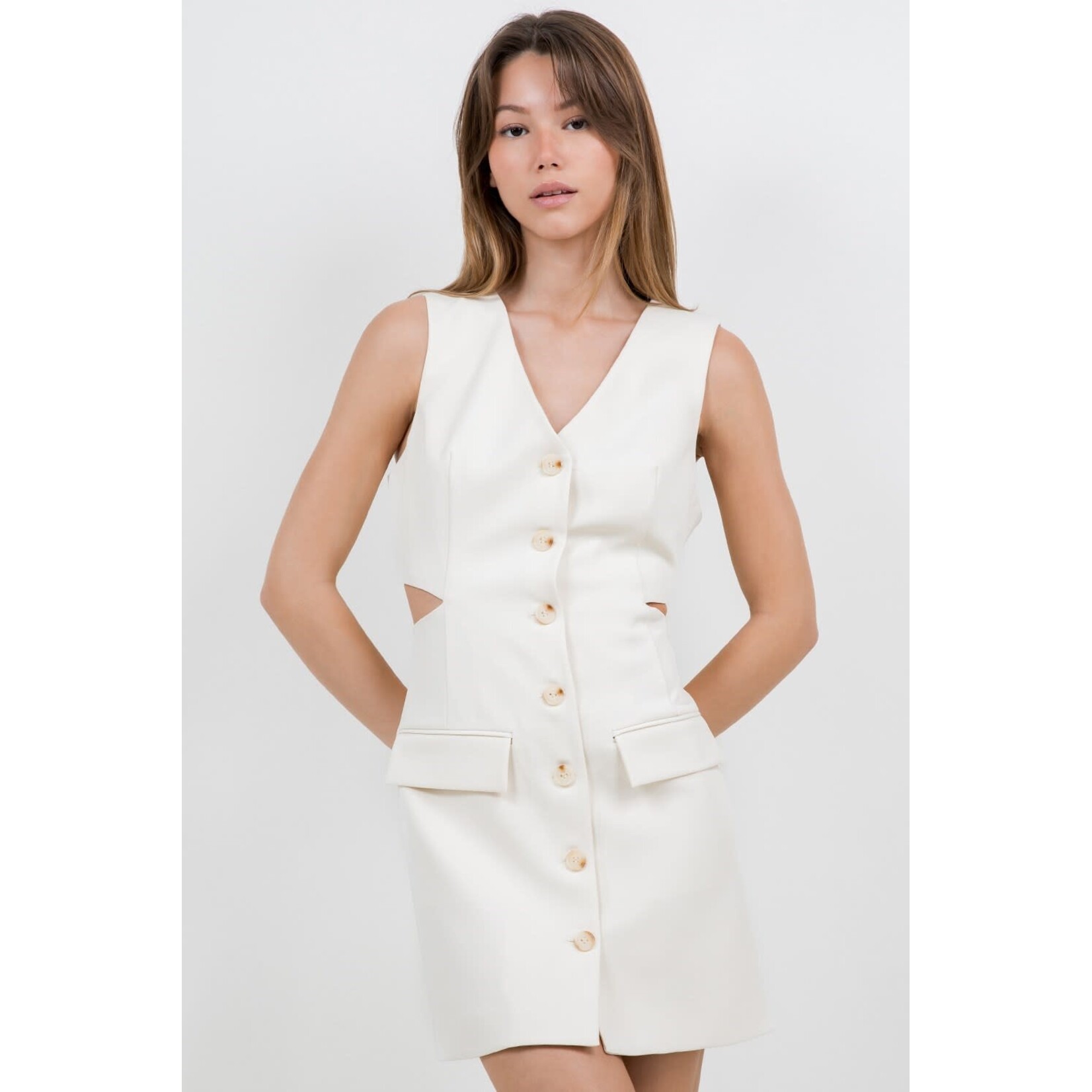 THE DANICA MINI DRESS