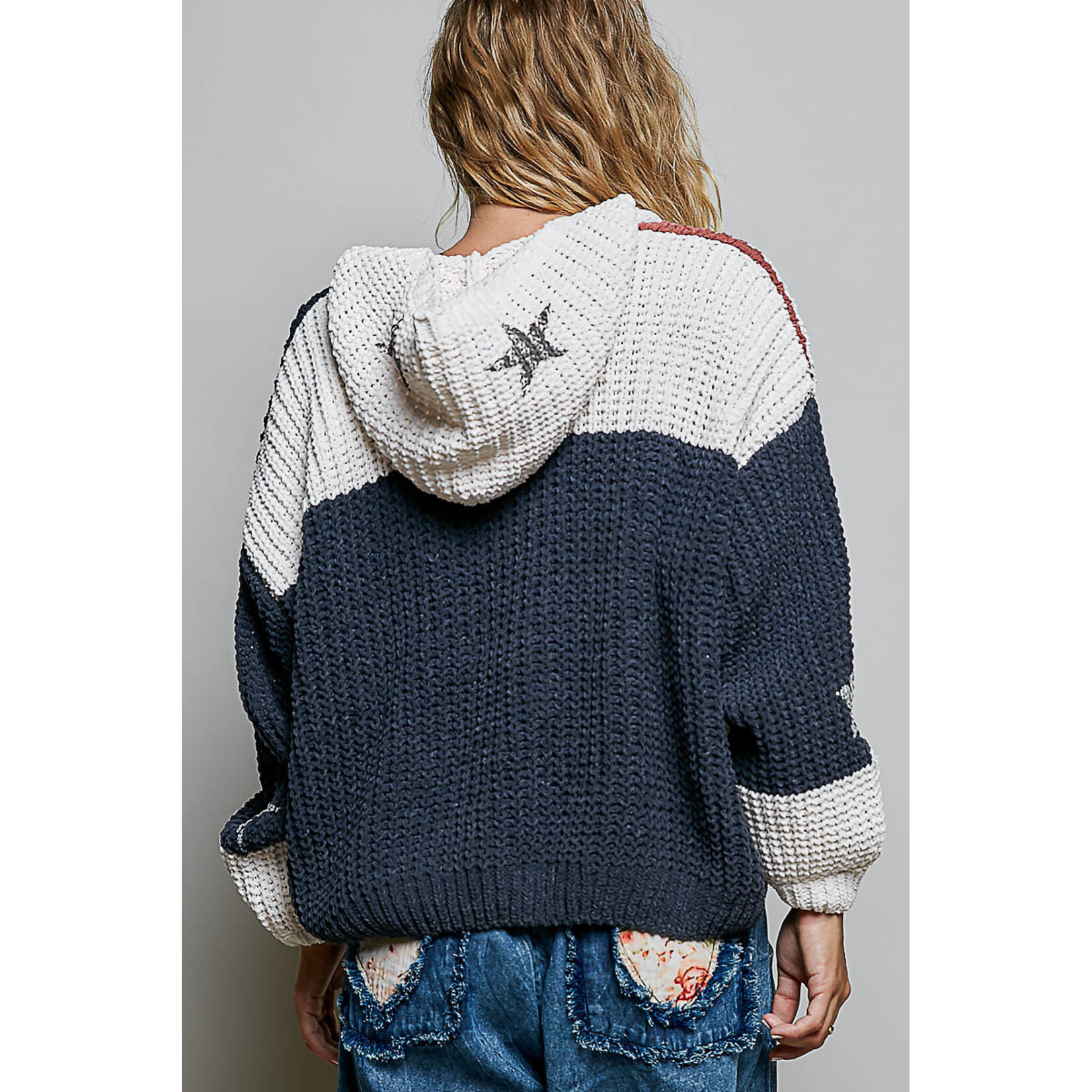THE AMERICAN FLAG PULLOVER HOODIE
