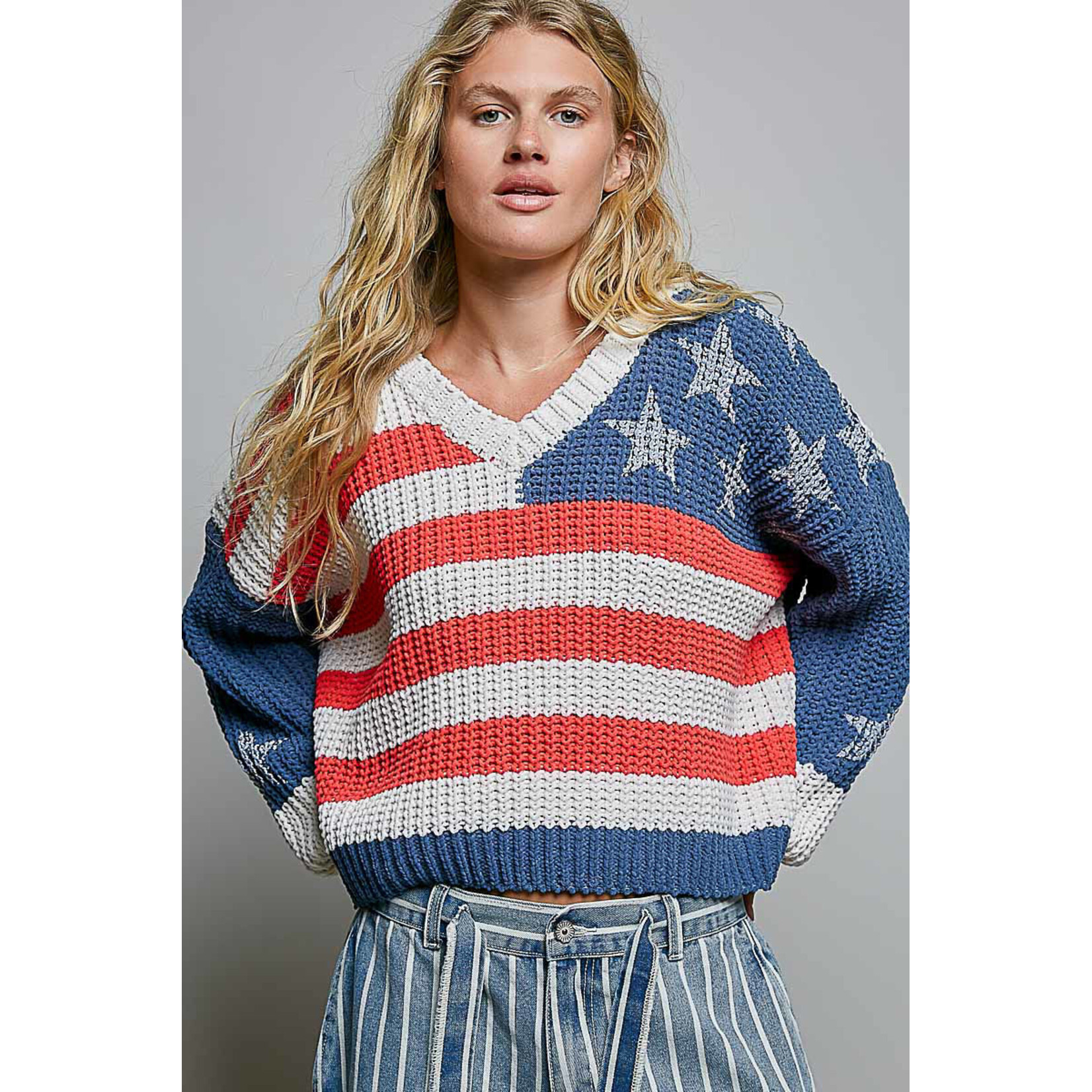 THE AMERICAN FLAG PULLOVER HOODIE