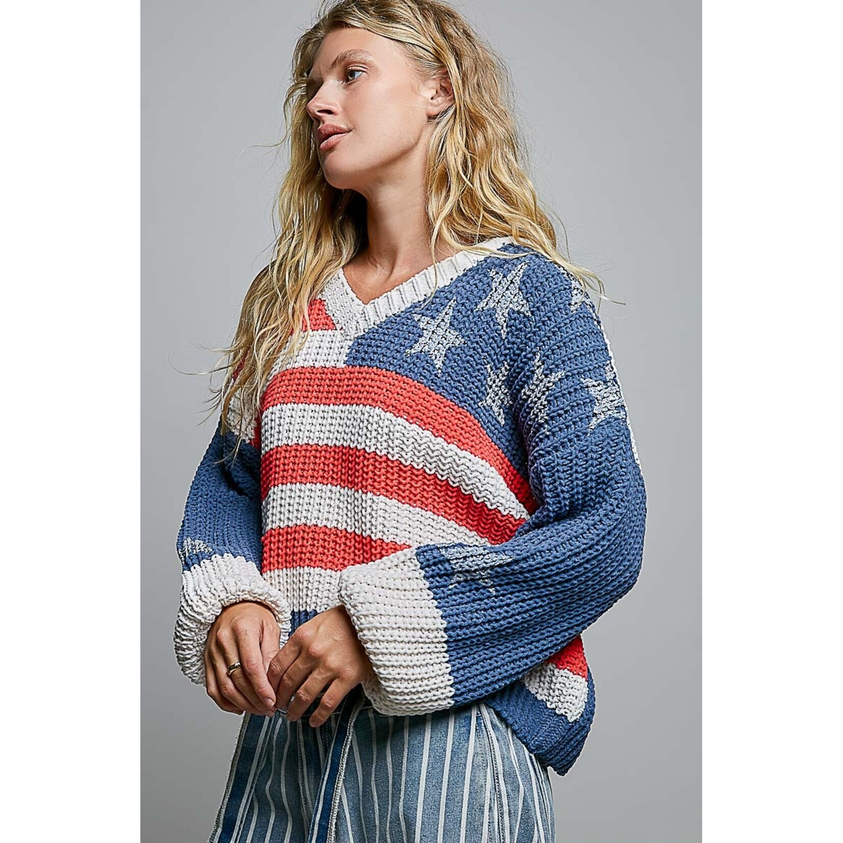 THE AMERICAN FLAG PULLOVER HOODIE