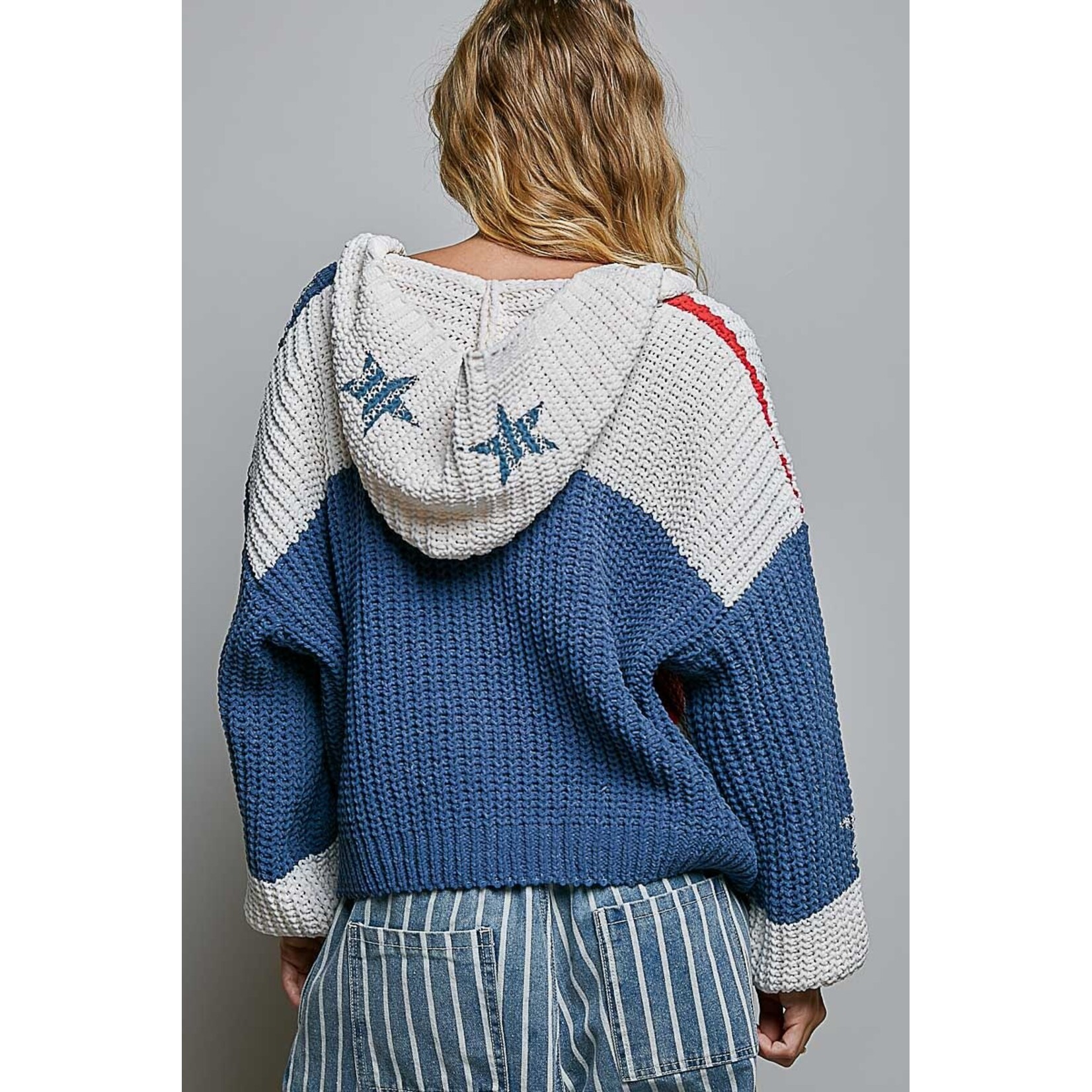 THE AMERICAN FLAG PULLOVER HOODIE
