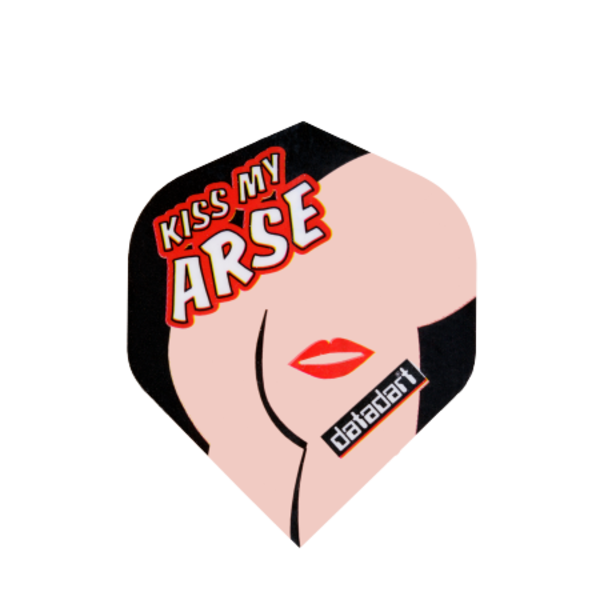 DataDart Datadart Kiss My Arse Metronic No2 Standard Dart Flights