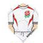 Harrows Darts White Soccer Jersey With Red Rose Dimplex Standard Dart Flight