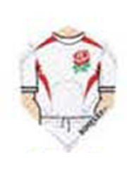 Harrows Darts White With Red Rose Dimplex Standard Dart Flights