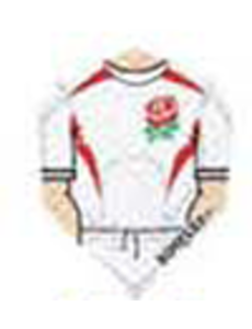 Harrows Darts White With Red Rose Dimplex Standard Dart Flights