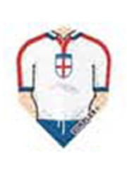 Harrows Darts St George Cross Shirt Standard Dimplex Dart Flight