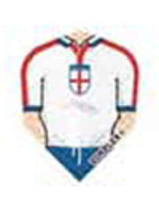 Harrows Darts St George Cross Shirt Standard Dimplex Dart Flight