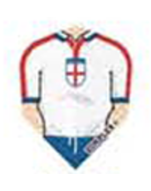 Harrows Darts St George Cross Shirt Standard Dimplex Dart Flight