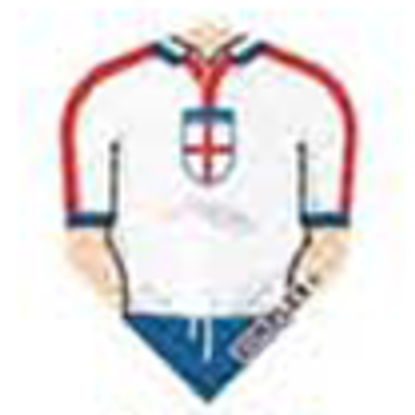 Harrows Darts St George Cross Shirt Standard Dimplex Dart Flight