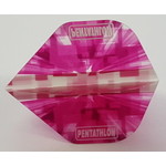 PENTATHLON Pentathlon Vizion Star Burst Pink Standard Dart Flights
