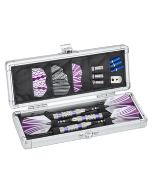 Casemaster Casemaster Accolade Dart Case