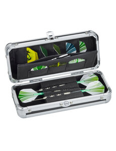 Casemaster Casemaster Sole Dart Case