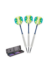 ElkaDart Elkadart Prism Ringed Silver Steel Tip Darts