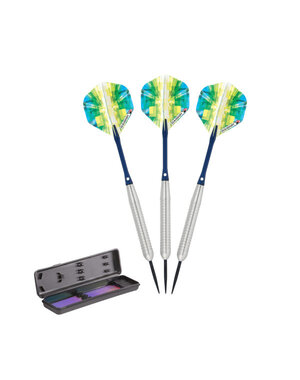 ElkaDart Elkadart Prism Ringed Silver Steel Tip Darts