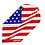 Viper Darts Viper V-100 American Flag Angled Dimplex Slim Dart Flights
