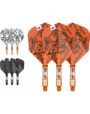 Target Darts Target Raymond van Barneveld Ink Flight & Shaft Kit