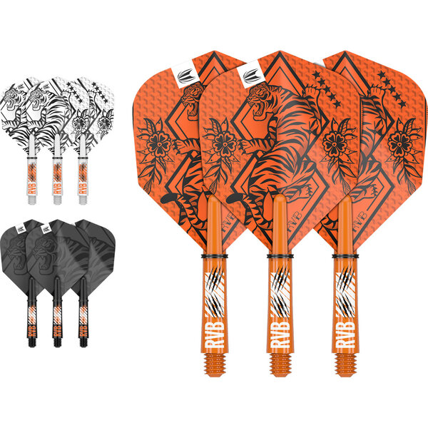Target Darts Target Raymond van Barneveld Ink Flight & Shaft Kit