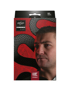 Target Darts Target Nathan Aspinall G2 95% 18g Soft Tip Darts