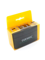 CueSoul CueSoul Printed Antie Dart Flight Case