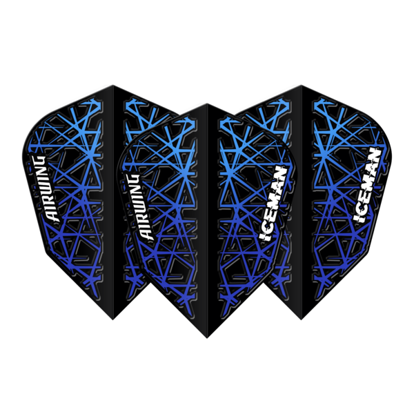 RED DRAGON Airwing Molded Player V-Standard Dart Flights