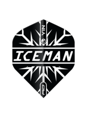 RED DRAGON Red Dragon Players Yin Yang Gerwyn Price Black and White Standard Dart Flights