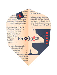 Target Darts Target Ultra Player Raymond van Barneveld 25 Dart Flights