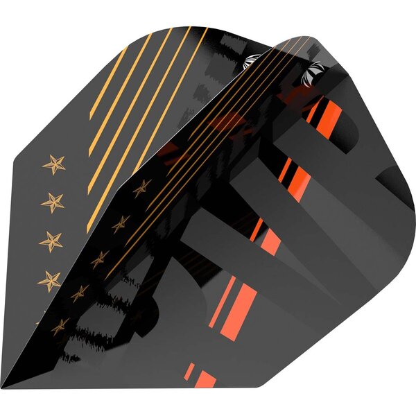Target Darts Target Pro Player Raymond van Barneveld 80 Black Standard No6 Dart Flights