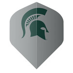 NCAA NCAA Michigan State Grey Standard Dart Flights