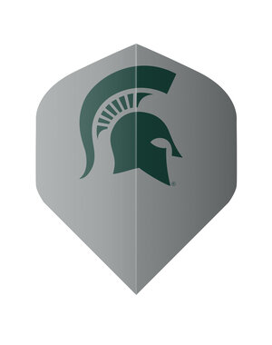 NCAA NCAA Michigan State Grey Standard Dart Flights