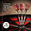 Viper Darts Viper Desert Rose Soft Tip Darts 16 Grams