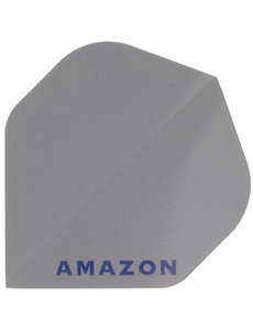 Amazon Amazon Silver Standard Dart Flights